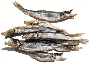 Треска соломка: Корюшка (мелкая) вяленая (Камчатка)